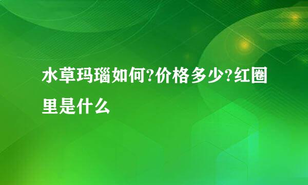 水草玛瑙如何?价格多少?红圈里是什么