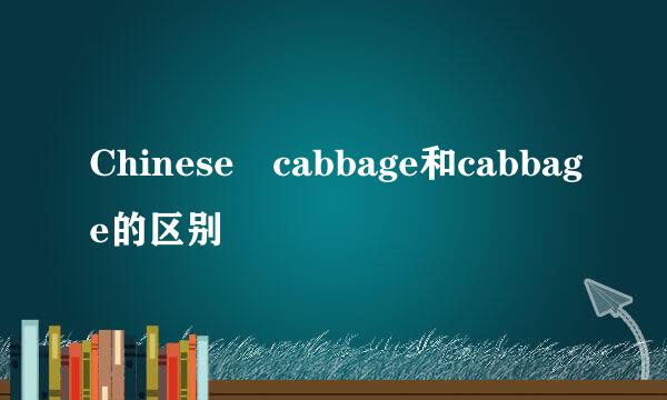 Chinese cabbage和cabbage的区别