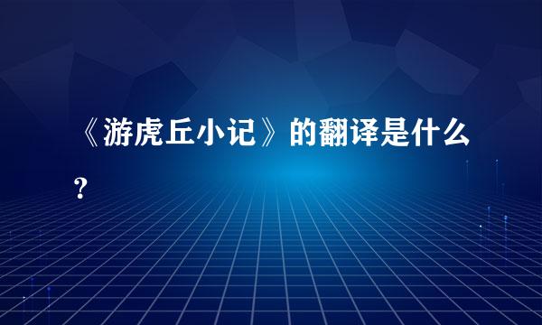 《游虎丘小记》的翻译是什么？