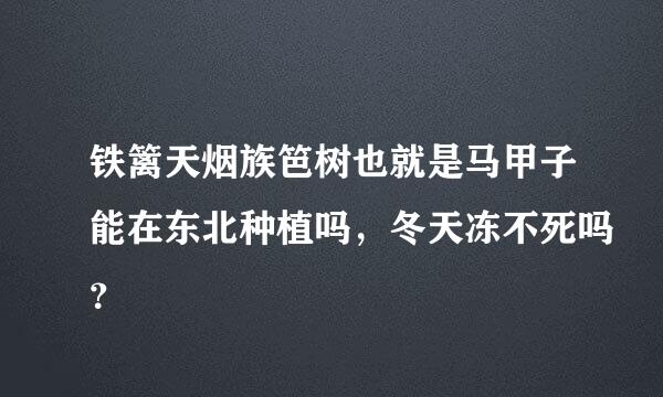 铁篱天烟族笆树也就是马甲子能在东北种植吗，冬天冻不死吗？