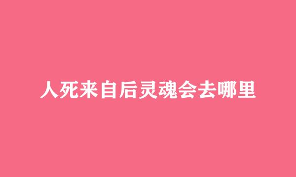 人死来自后灵魂会去哪里