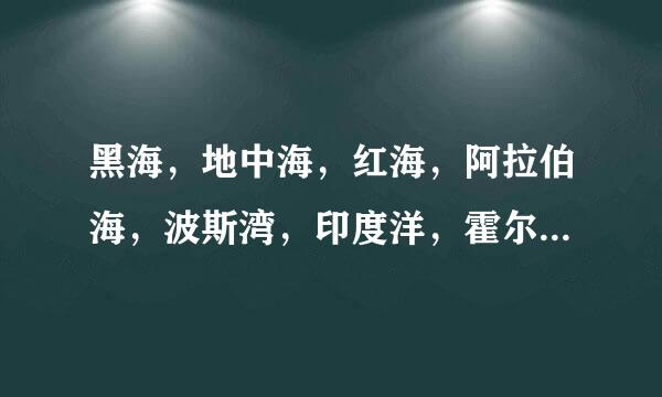 黑海，地中海，红海，阿拉伯海，波斯湾，印度洋，霍尔木兹海峡，土耳其海峡，苏伊士运河的地理位置