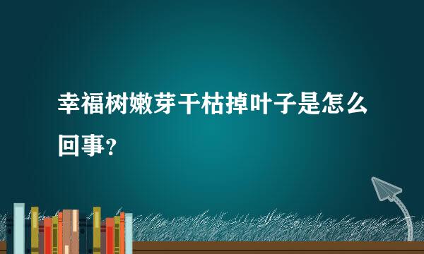 幸福树嫩芽干枯掉叶子是怎么回事？