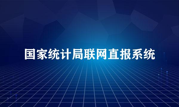 国家统计局联网直报系统