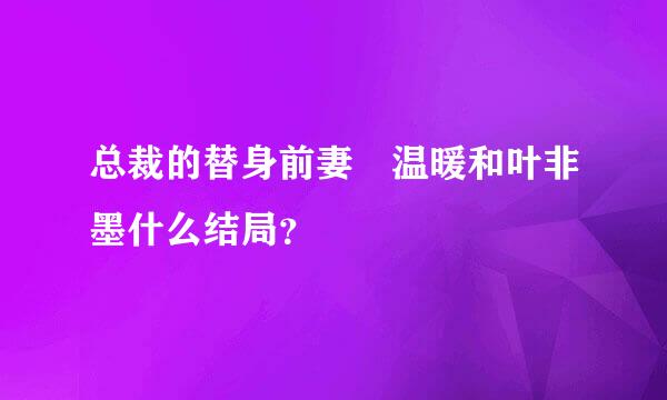 总裁的替身前妻 温暖和叶非墨什么结局？