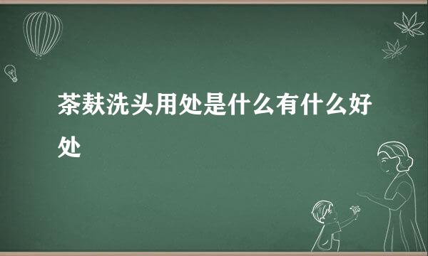 茶麸洗头用处是什么有什么好处