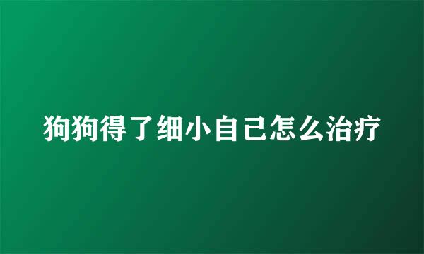 狗狗得了细小自己怎么治疗