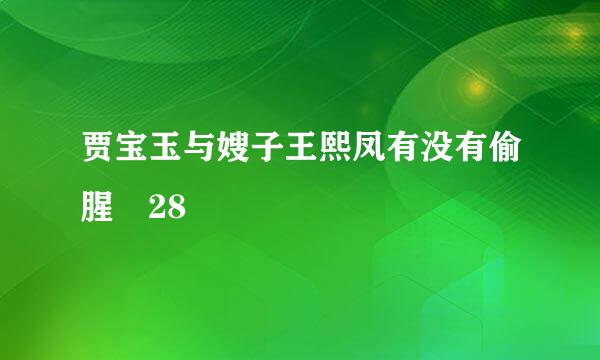 贾宝玉与嫂子王熙凤有没有偷腥 28