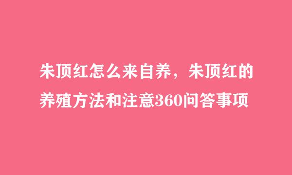 朱顶红怎么来自养，朱顶红的养殖方法和注意360问答事项