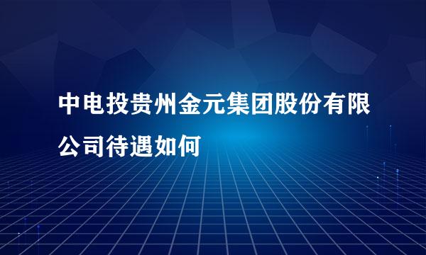 中电投贵州金元集团股份有限公司待遇如何