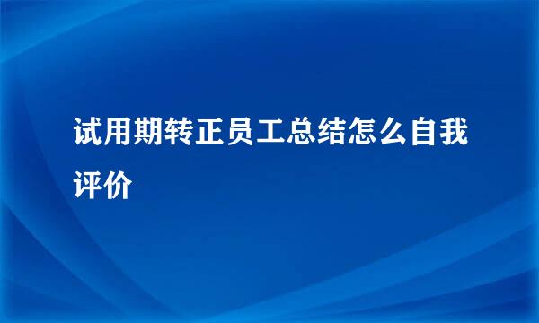 试用期转正员工总结怎么自我评价