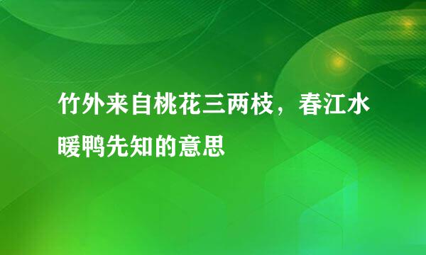 竹外来自桃花三两枝，春江水暖鸭先知的意思