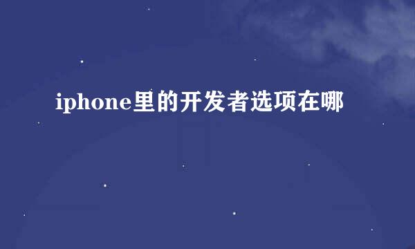 iphone里的开发者选项在哪