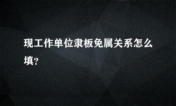 现工作单位隶板免属关系怎么填？