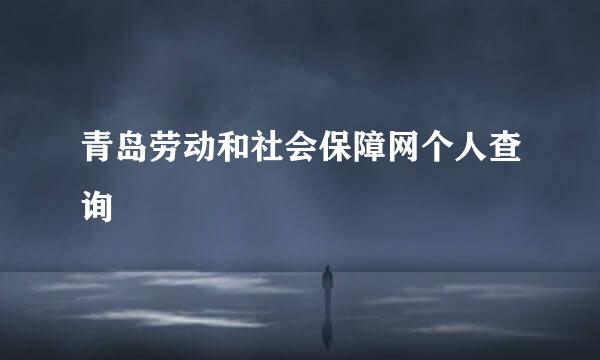 青岛劳动和社会保障网个人查询