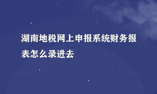 湖南地税网上申报系统财务报表怎么录进去