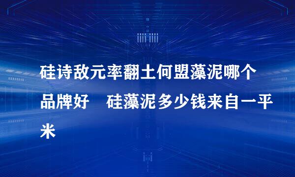 硅诗敌元率翻土何盟藻泥哪个品牌好 硅藻泥多少钱来自一平米