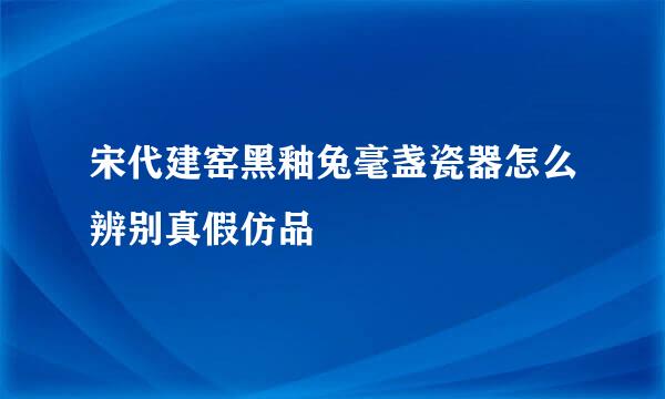 宋代建窑黑釉兔毫盏瓷器怎么辨别真假仿品