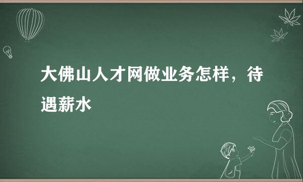 大佛山人才网做业务怎样，待遇薪水