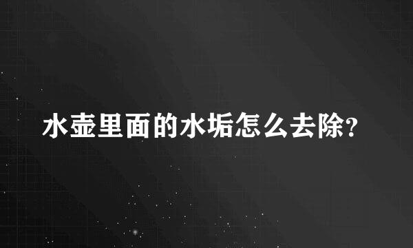 水壶里面的水垢怎么去除？