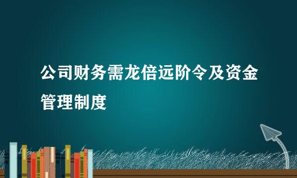 公司财务需龙倍远阶令及资金管理制度