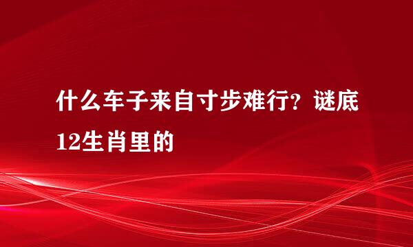 什么车子来自寸步难行？谜底12生肖里的