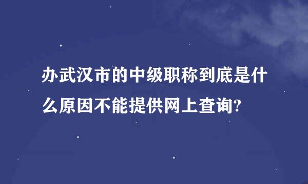 办武汉市的中级职称到底是什么原因不能提供网上查询?