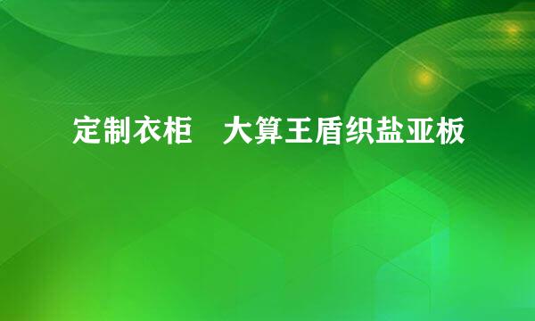 定制衣柜 大算王盾织盐亚板