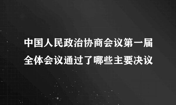 中国人民政治协商会议第一届全体会议通过了哪些主要决议