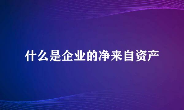 什么是企业的净来自资产