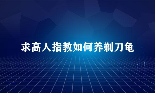 求高人指教如何养剃刀龟