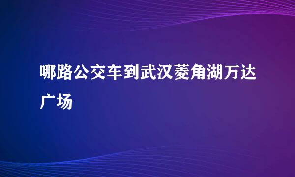 哪路公交车到武汉菱角湖万达广场