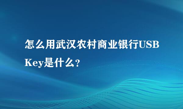 怎么用武汉农村商业银行USBKey是什么？