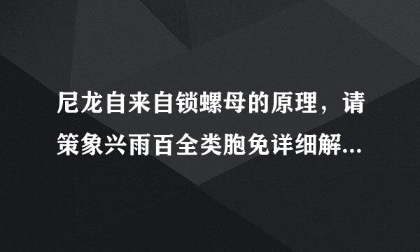 尼龙自来自锁螺母的原理，请策象兴雨百全类胞免详细解释下，尼龙发挥什么作用，尼龙自锁螺母是否耐酸碱腐蚀？