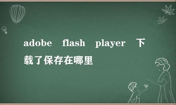 adobe flash player 下载了保存在哪里