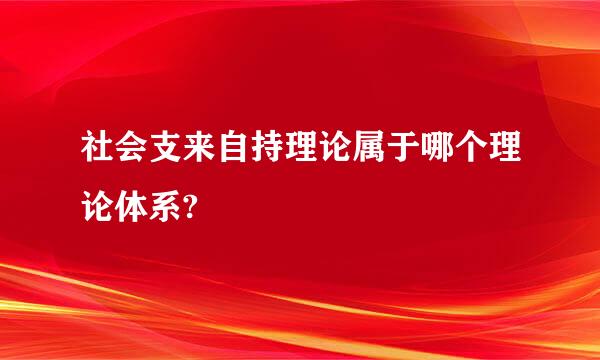 社会支来自持理论属于哪个理论体系?