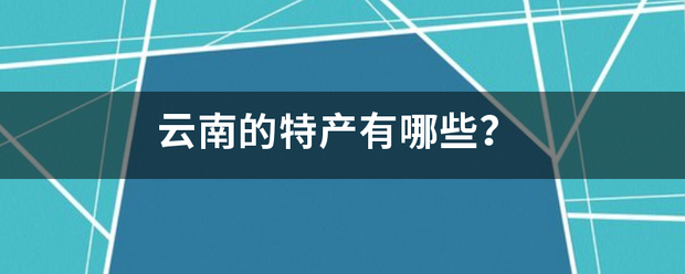 云南的特产有哪些？