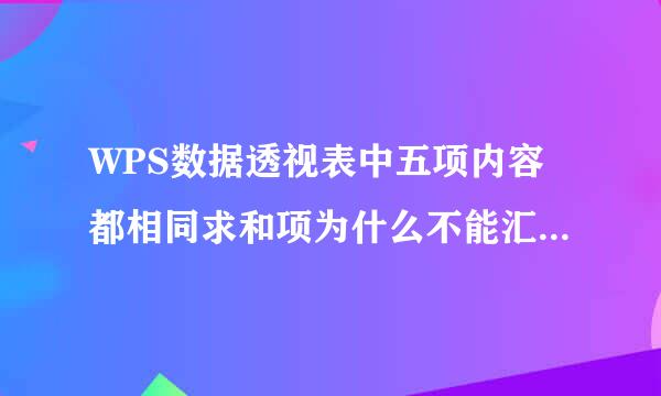 WPS数据透视表中五项内容都相同求和项为什么不能汇总在一起