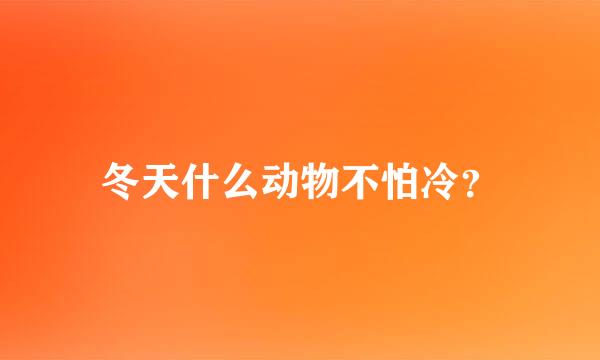 冬天什么动物不怕冷？