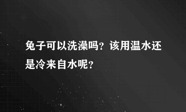 兔子可以洗澡吗？该用温水还是冷来自水呢？