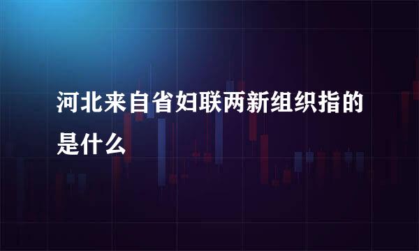 河北来自省妇联两新组织指的是什么