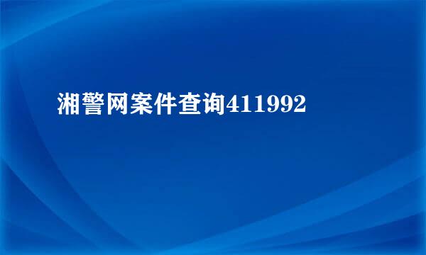 湘警网案件查询411992