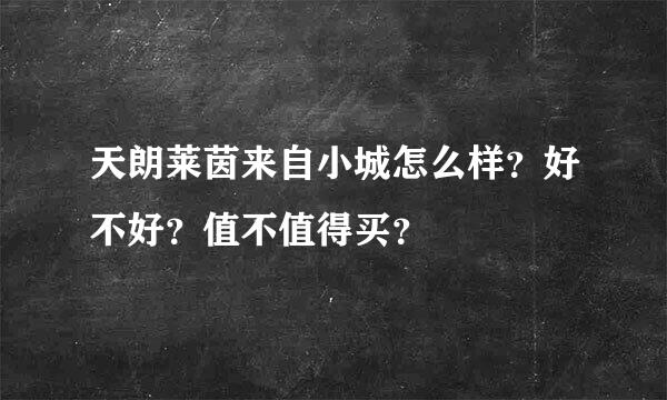 天朗莱茵来自小城怎么样？好不好？值不值得买？