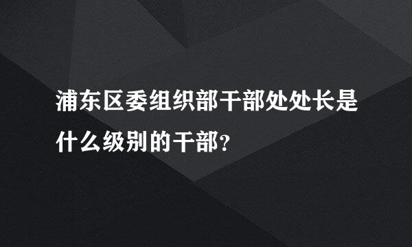 浦东区委组织部干部处处长是什么级别的干部？