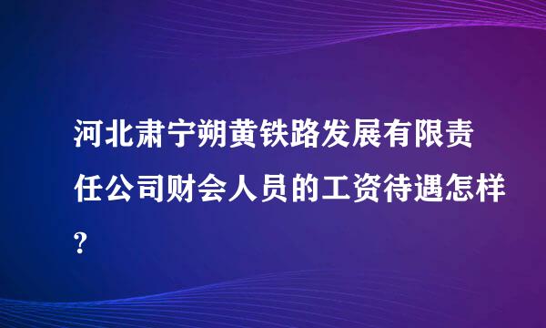 河北肃宁朔黄铁路发展有限责任公司财会人员的工资待遇怎样?