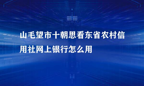 山毛望市十朝思看东省农村信用社网上银行怎么用