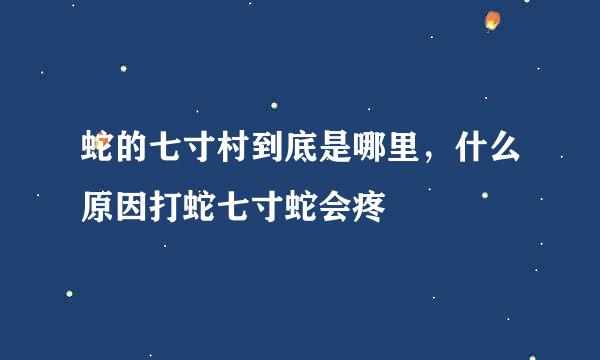 蛇的七寸村到底是哪里，什么原因打蛇七寸蛇会疼