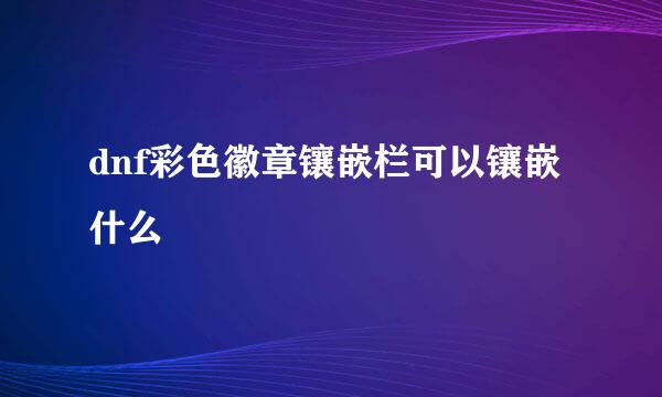 dnf彩色徽章镶嵌栏可以镶嵌什么