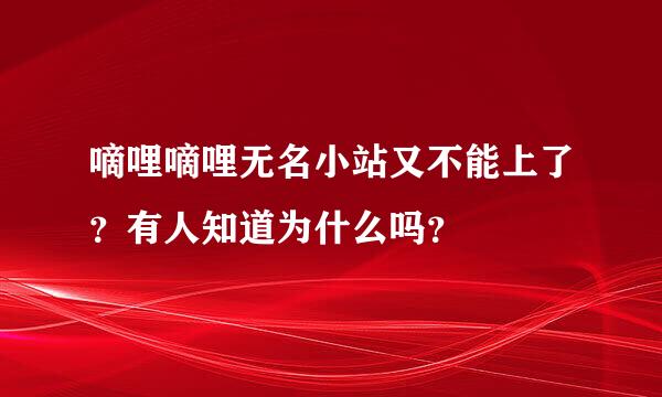 嘀哩嘀哩无名小站又不能上了？有人知道为什么吗？