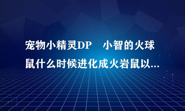 宠物小精灵DP 小智的火球鼠什么时候进化成火岩鼠以接控何的